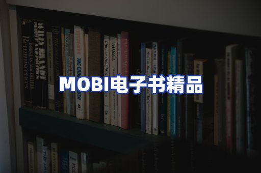 外文电子书产品